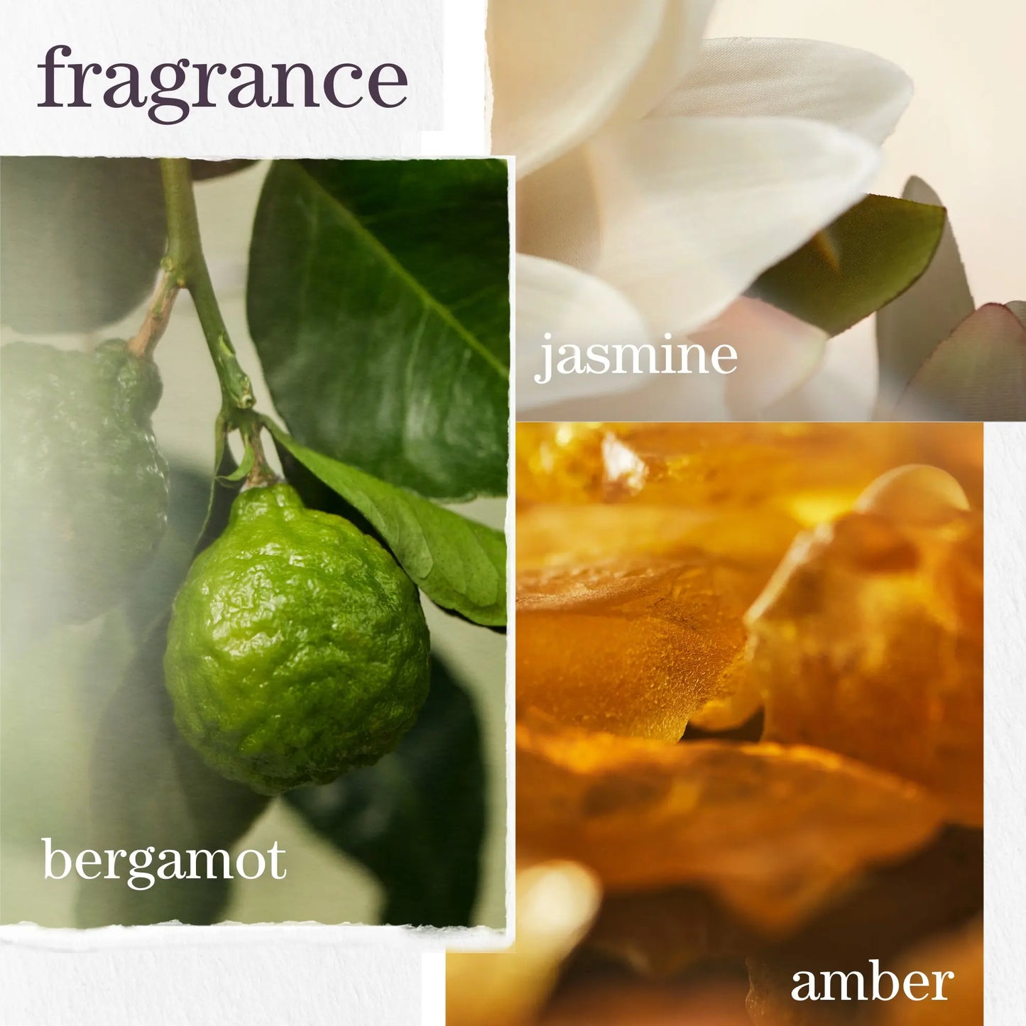 Pureology Strength Cure Dream Healer Serum – 100mL - Elluca